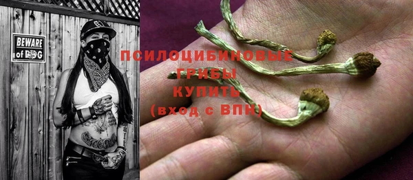 MDMA Premium VHQ Зеленодольск