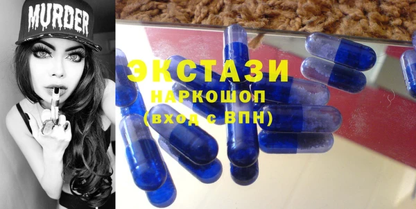 МДПВ Ельня