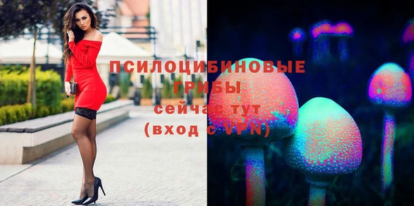 гидропоника Зеленокумск